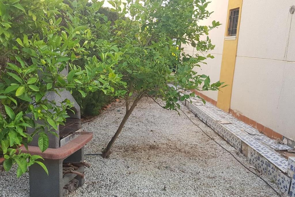 Punta Prima Bungalow Jardin Privado Торевьиа Экстерьер фото
