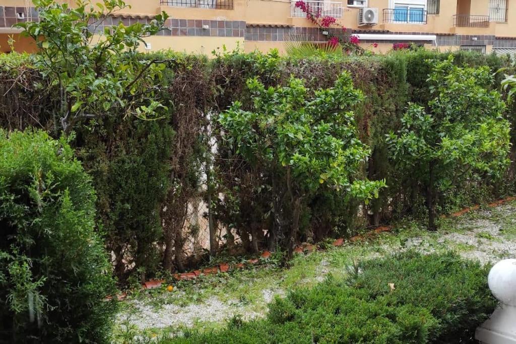 Punta Prima Bungalow Jardin Privado Торевьиа Экстерьер фото